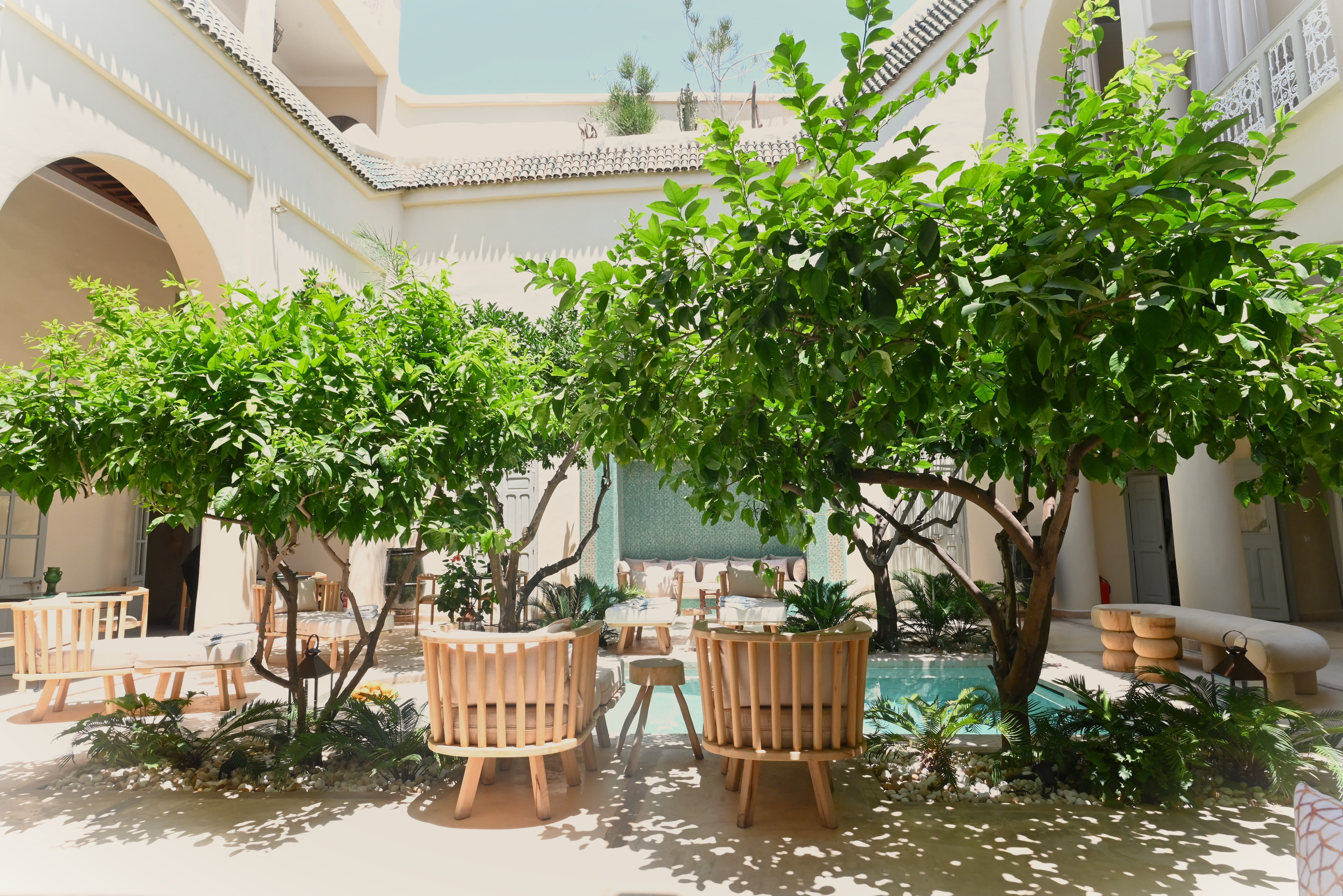 Riad Emberiza Sahari